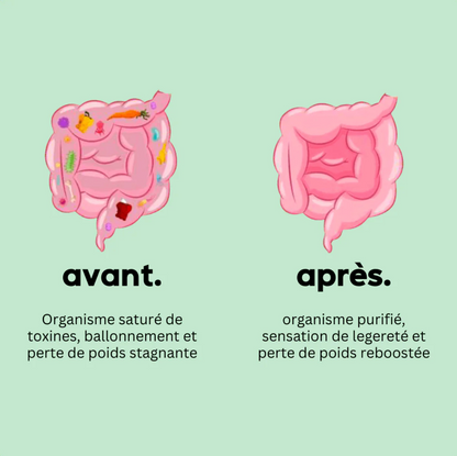 Willmore-TE | Tisane pour perdre du poids