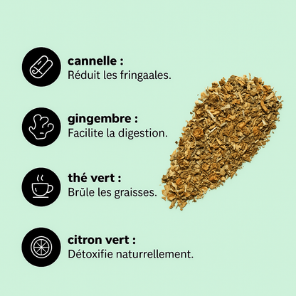 Willmore-TE | Tisane pour perdre du poids